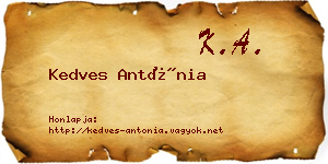 Kedves Antónia névjegykártya